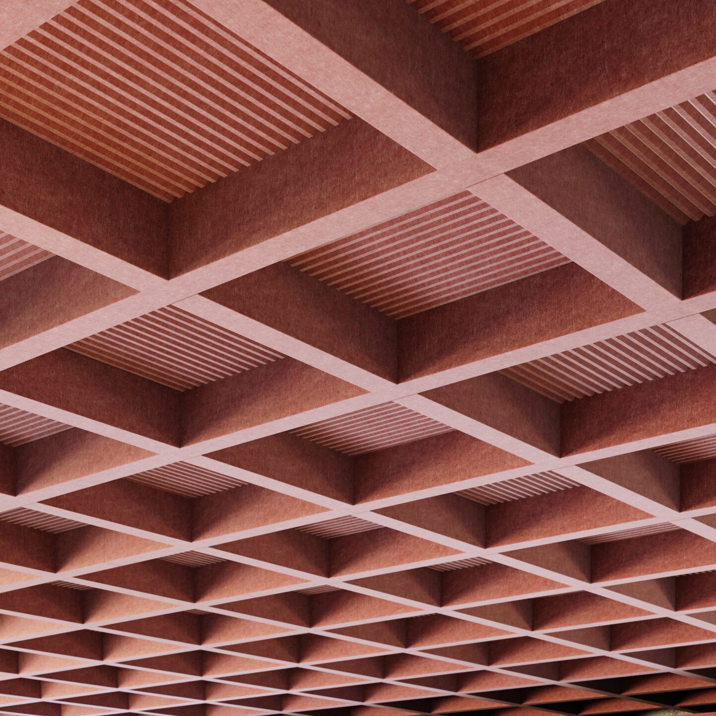 Plaid Tubular Ultisol Detail